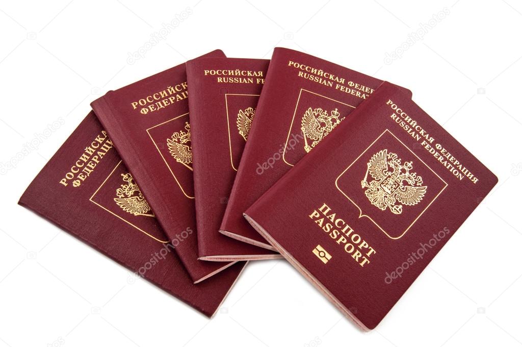 Consultant checking visa and qualification documents